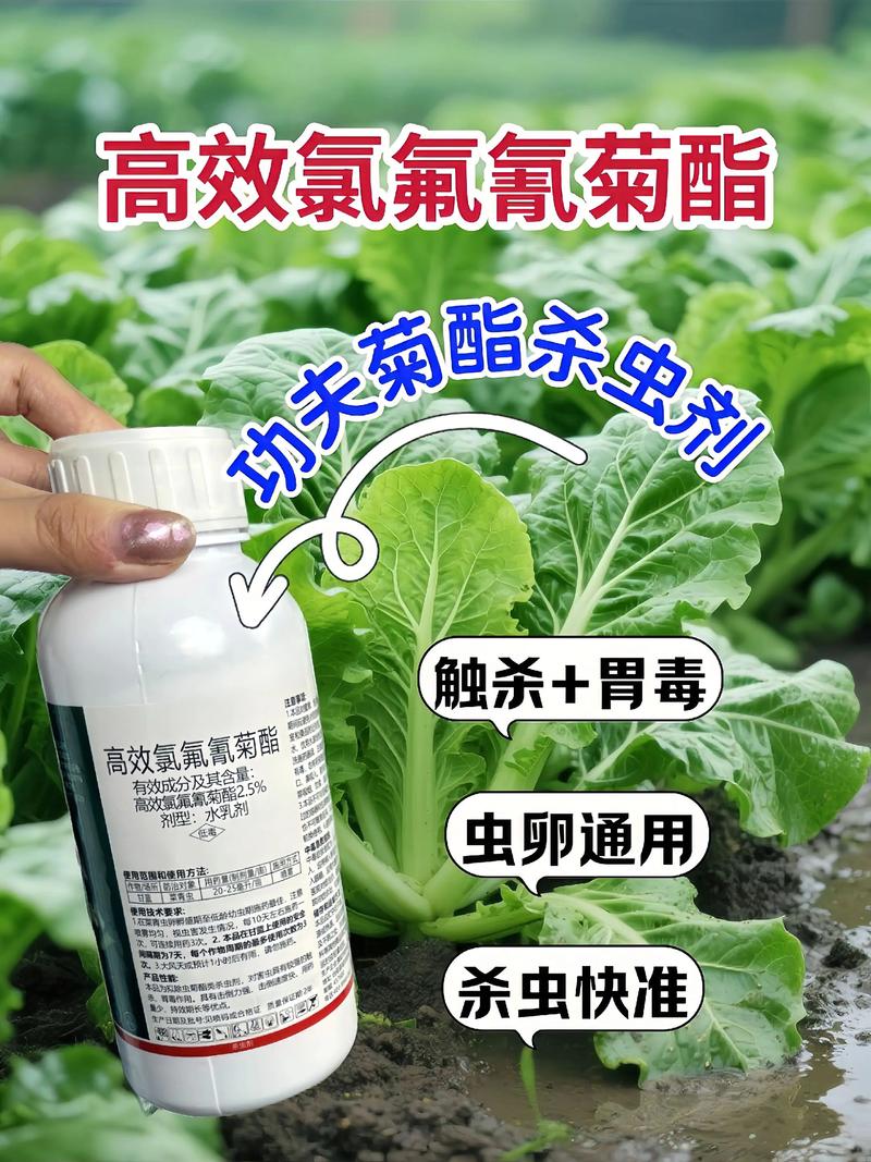 西城代生中心:农药对供卵代生妈妈的危害