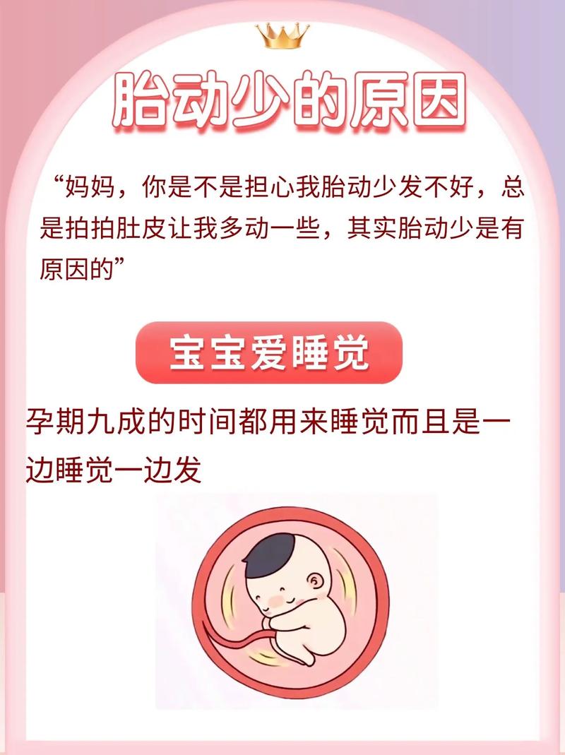 西城借卵代怀:宝宝胎动少怎么回事